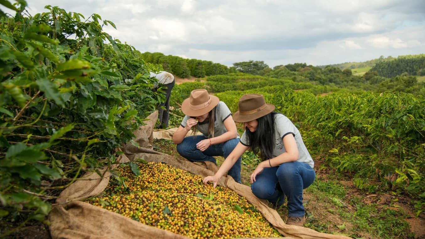 Fazenda Campestre - Produtos artesanais e frescos do campo